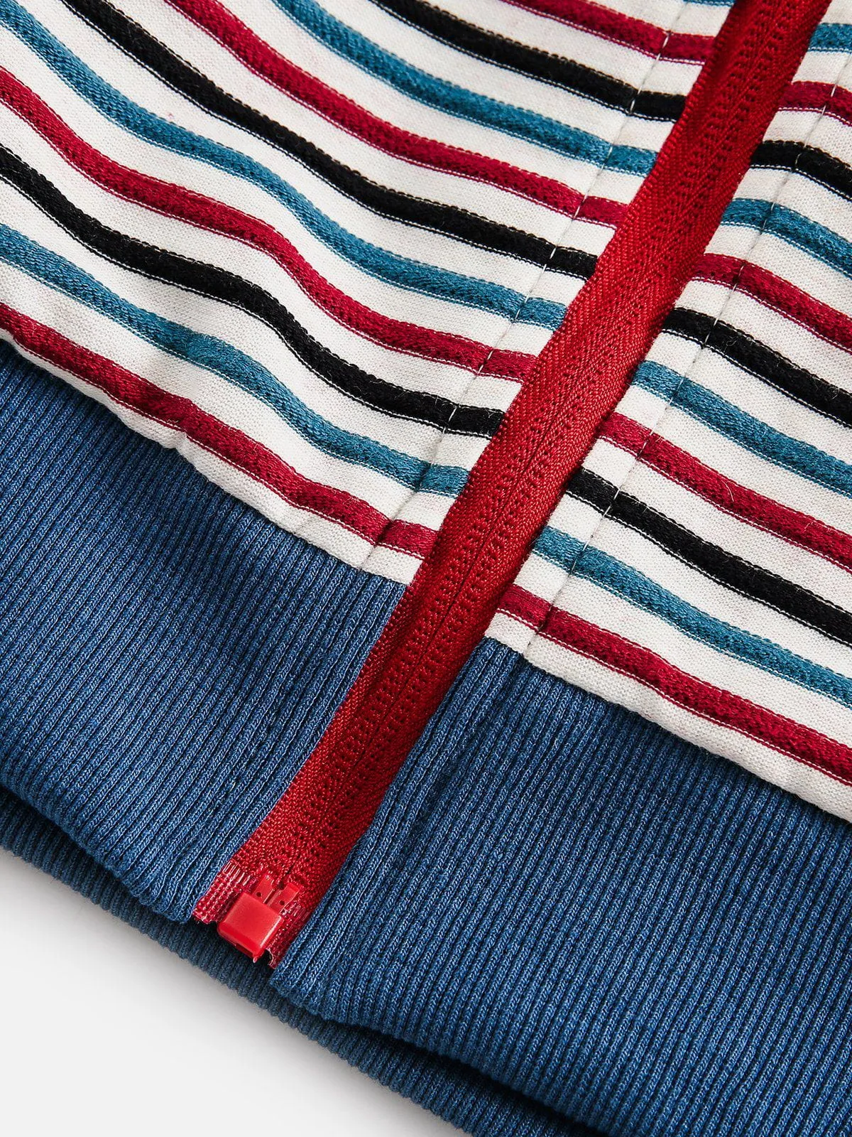 Aelfric Eden Multi Color Stripe Jacket